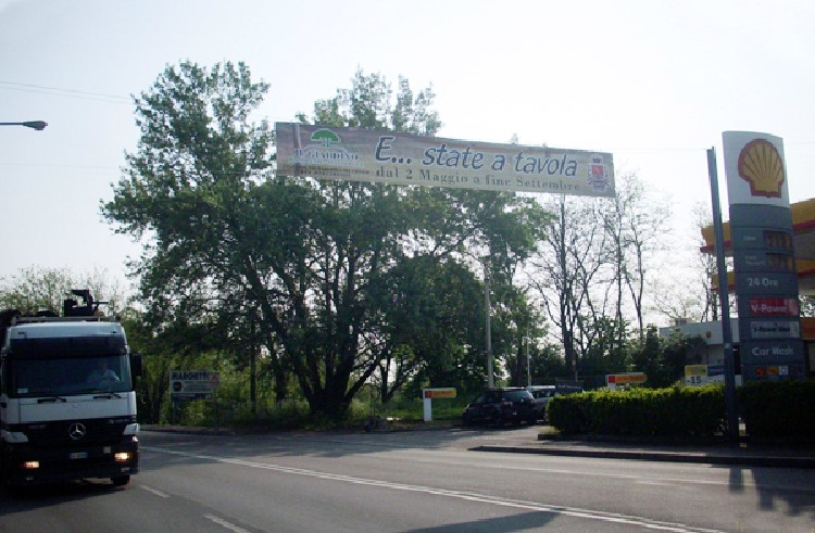LEGNANO - PALO 134 - viale Toselli